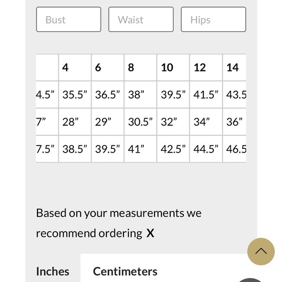 Terani Couture NWT Champagne Tulle Cocktail Dress Wedding Guest Size 6 - Picture 9 of 16